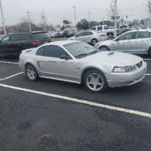 Meet your Posher, Malcolm